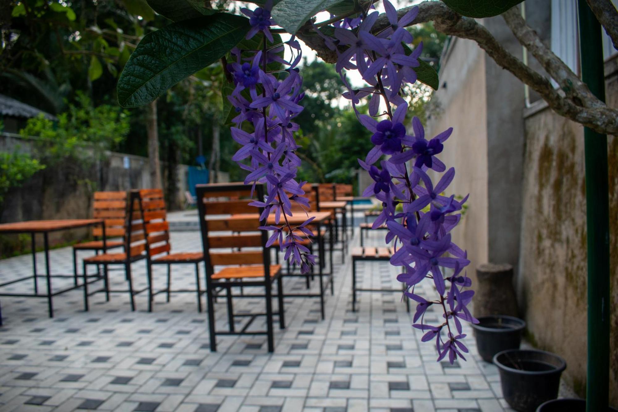 Villa Tranquil Kandy เปราเดนิยา ภายนอก รูปภาพ